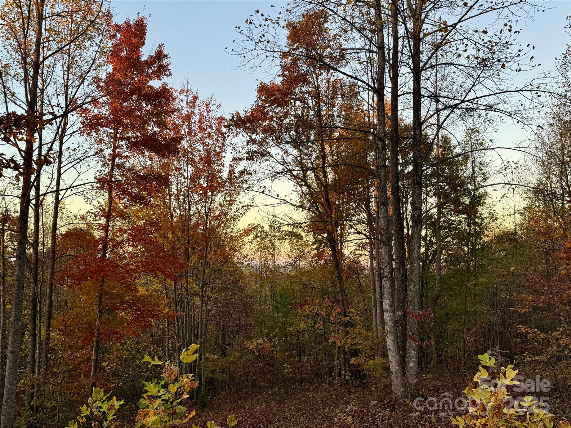 19 Meditation Ridge Extension - Photo 24