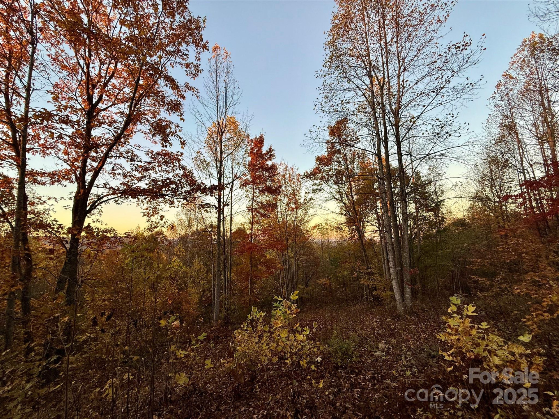 19 Meditation Ridge Extension - Photo 25