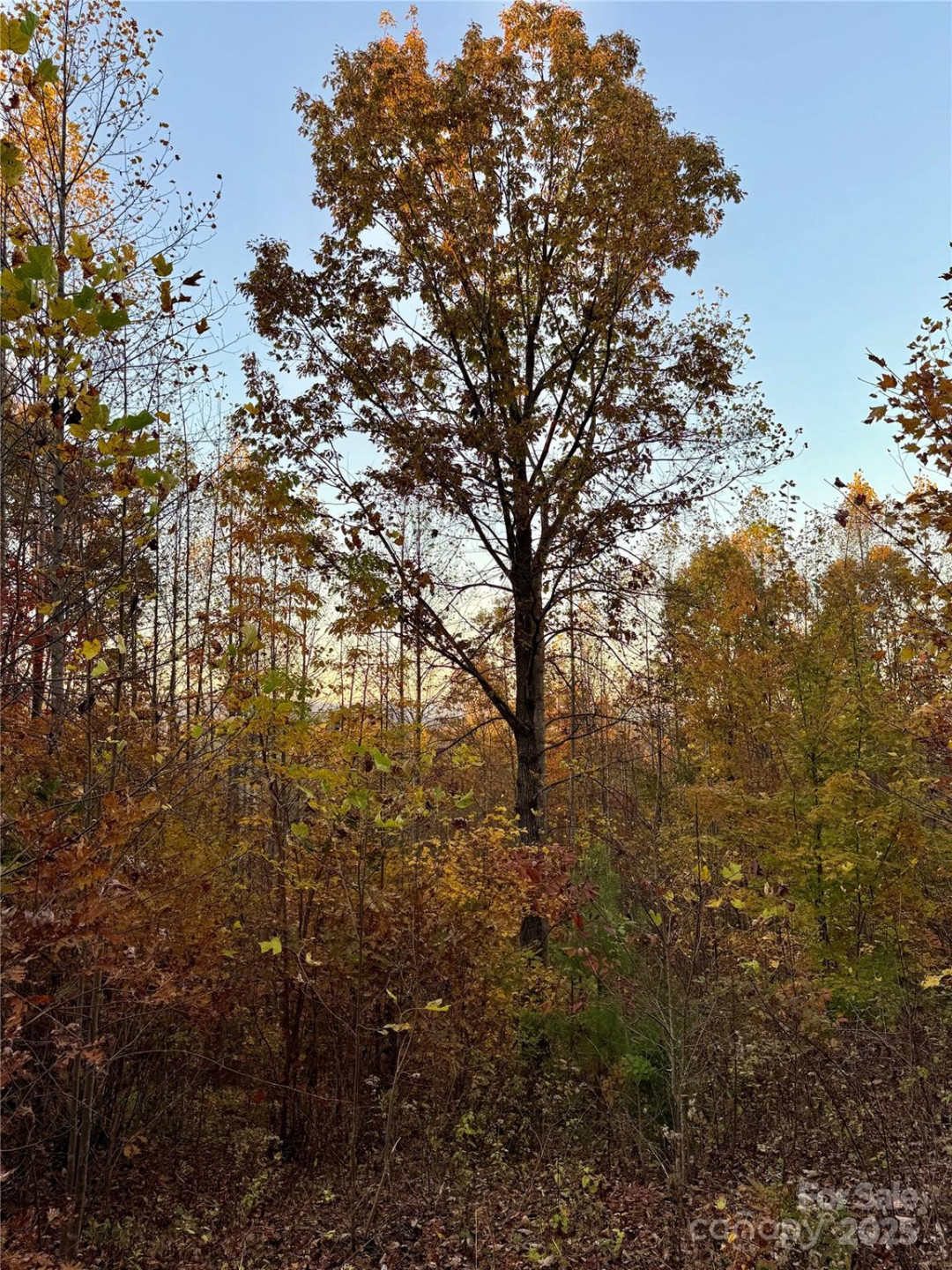 19 Meditation Ridge Extension - Photo 26