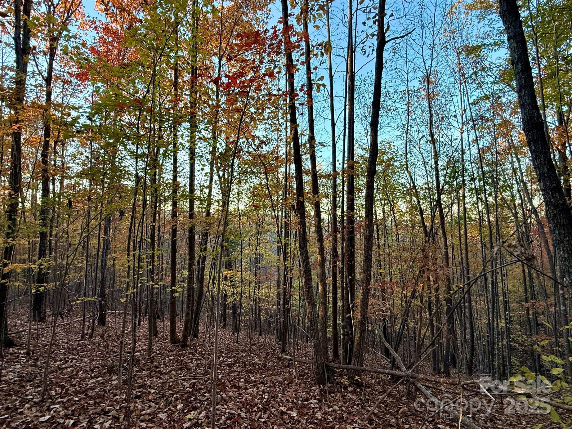19 Meditation Ridge Extension - Photo 27