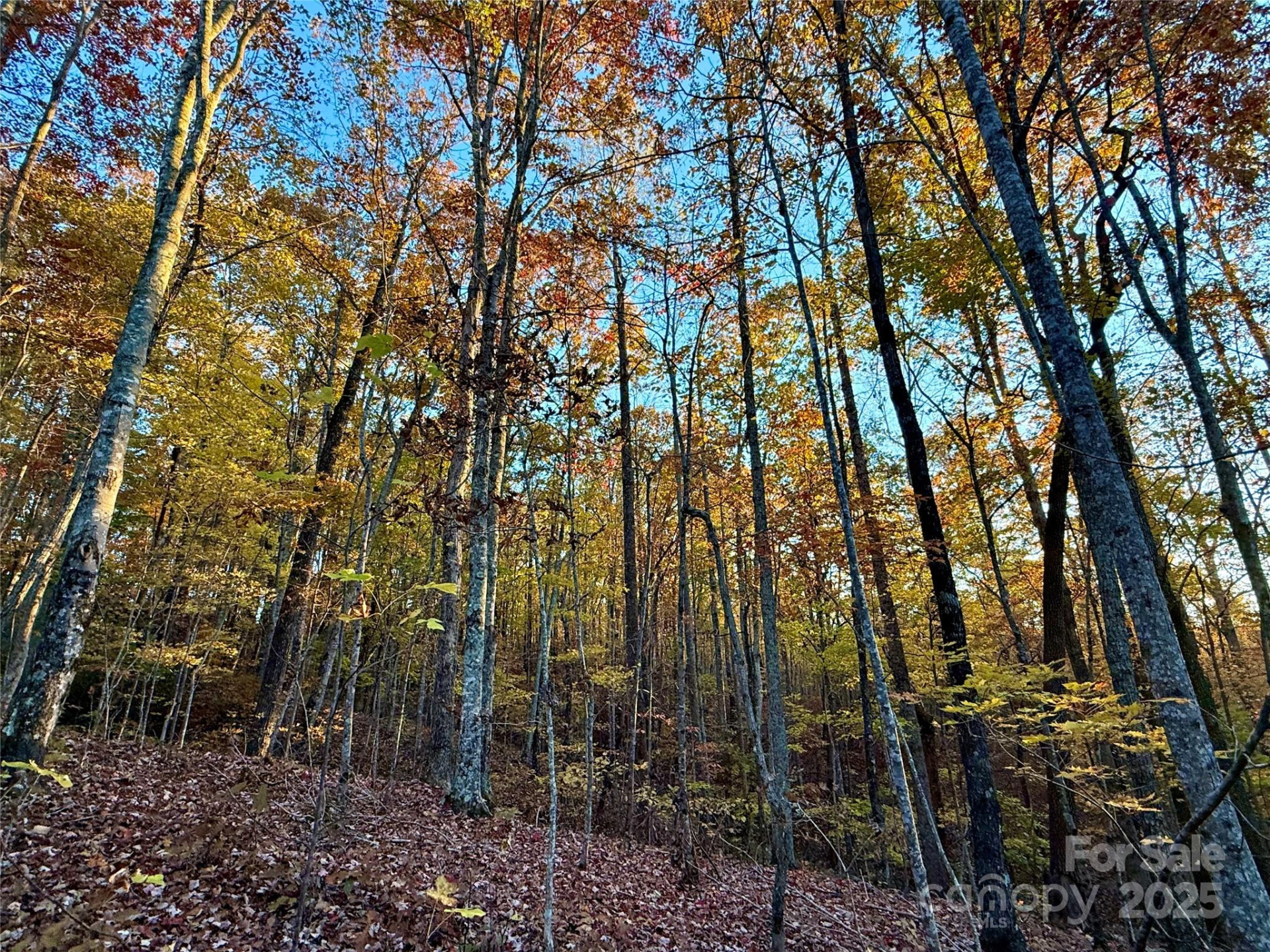 19 Meditation Ridge Extension - Photo 28