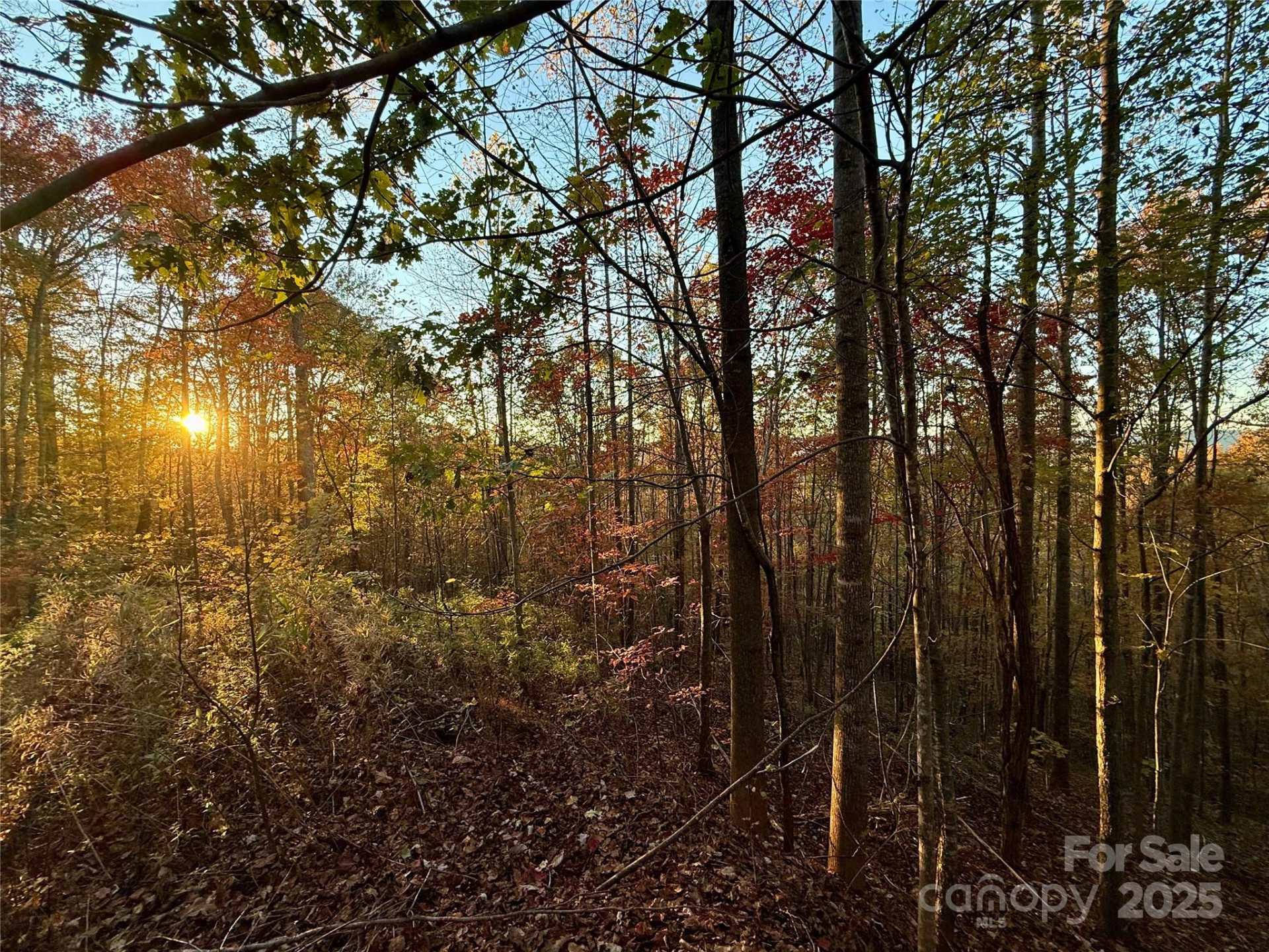 19 Meditation Ridge Extension - Photo 29