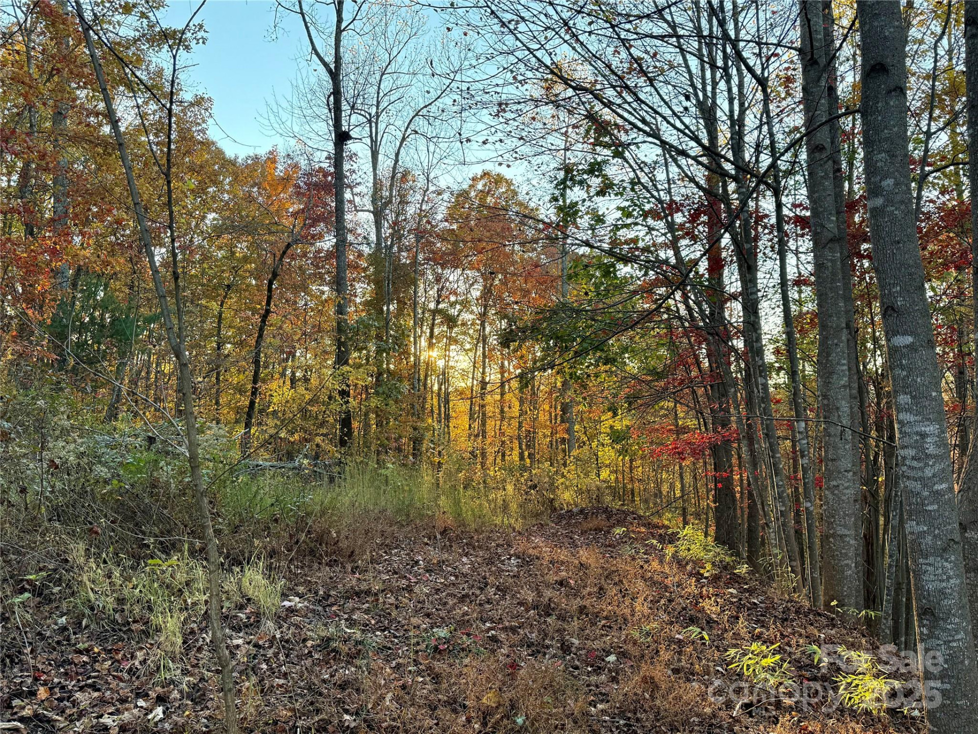 19 Meditation Ridge Extension - Photo 30