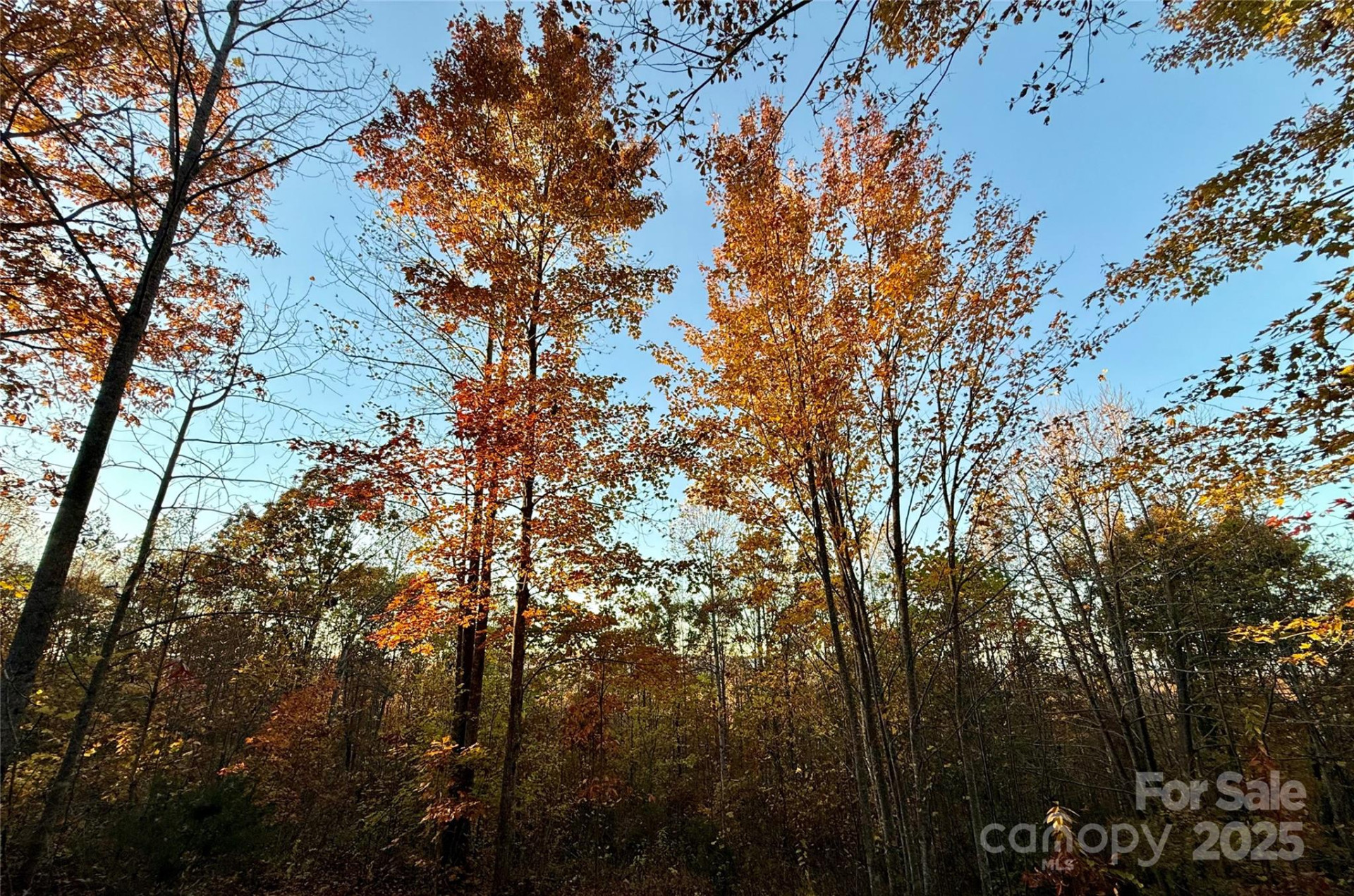 19 Meditation Ridge Extension - Photo 4