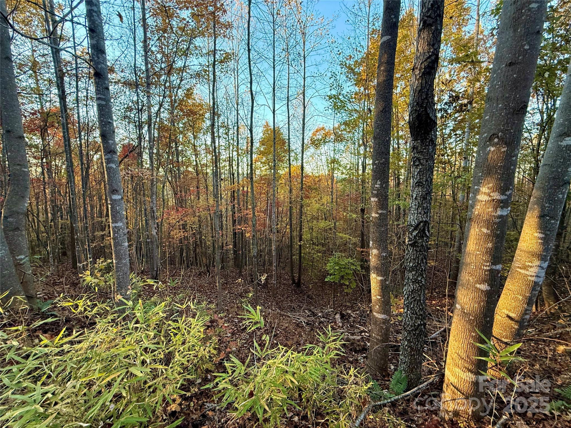 19 Meditation Ridge Extension - Photo 31