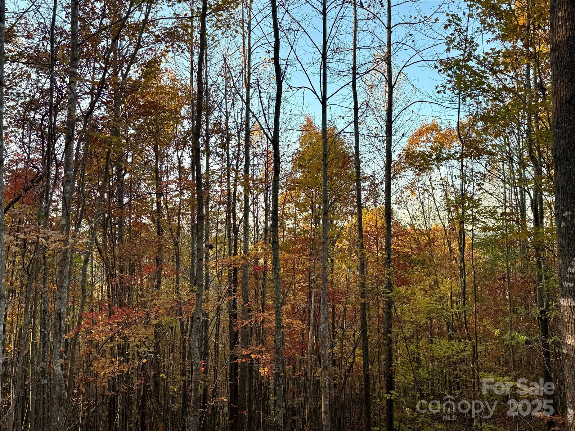 19 Meditation Ridge Extension - Photo 32