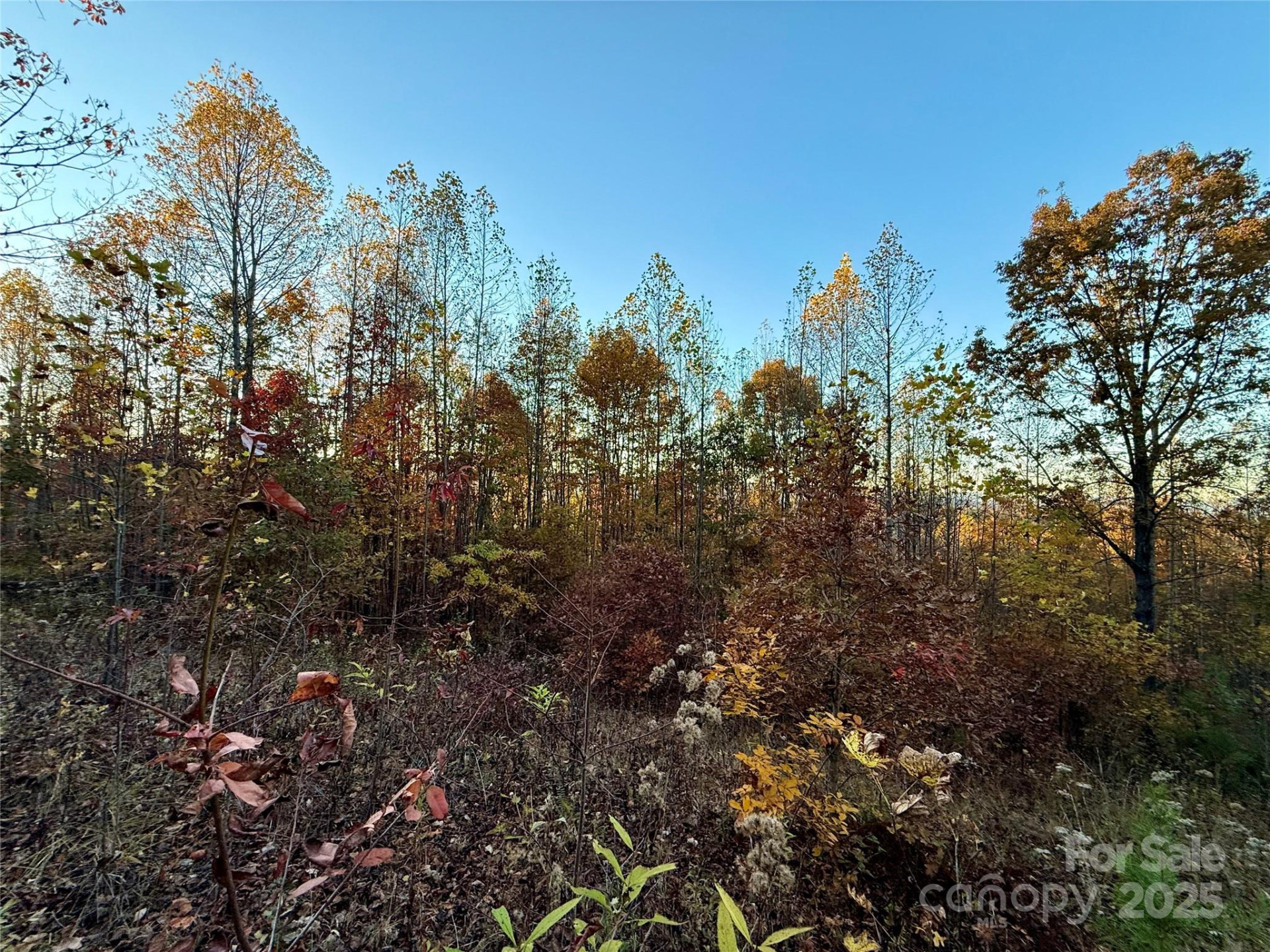 19 Meditation Ridge Extension - Photo 33