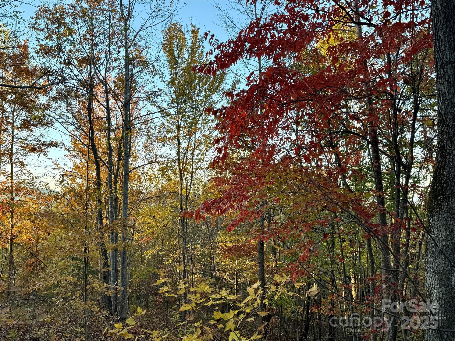 19 Meditation Ridge Extension - Photo 34
