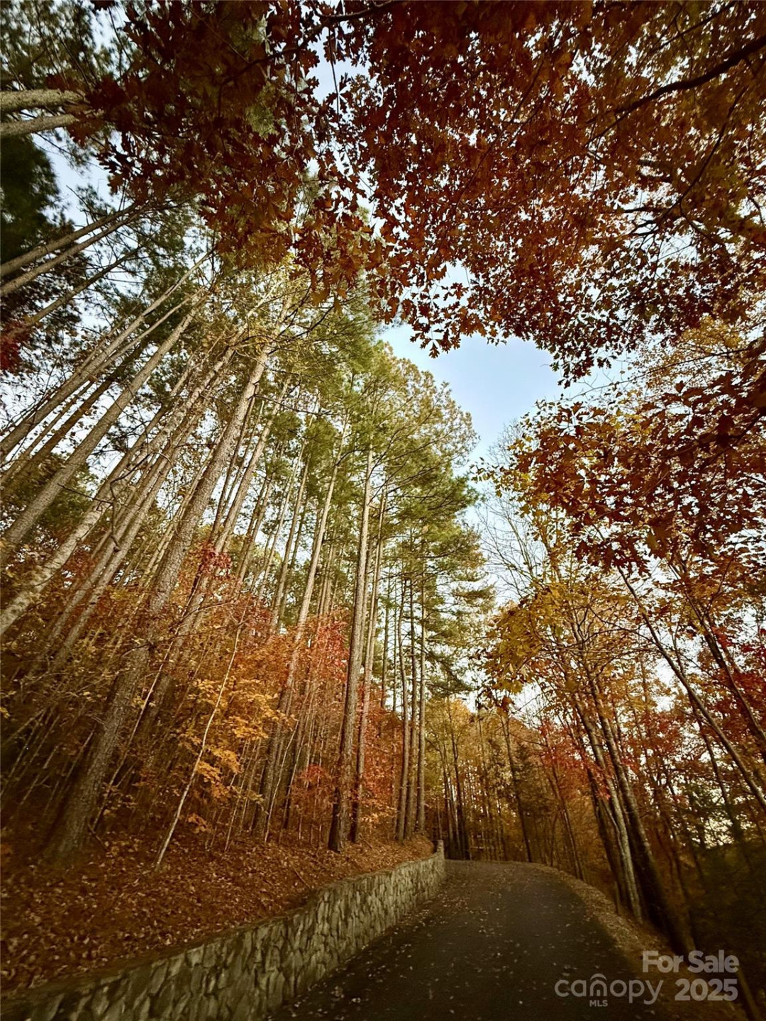 19 Meditation Ridge Extension - Photo 35