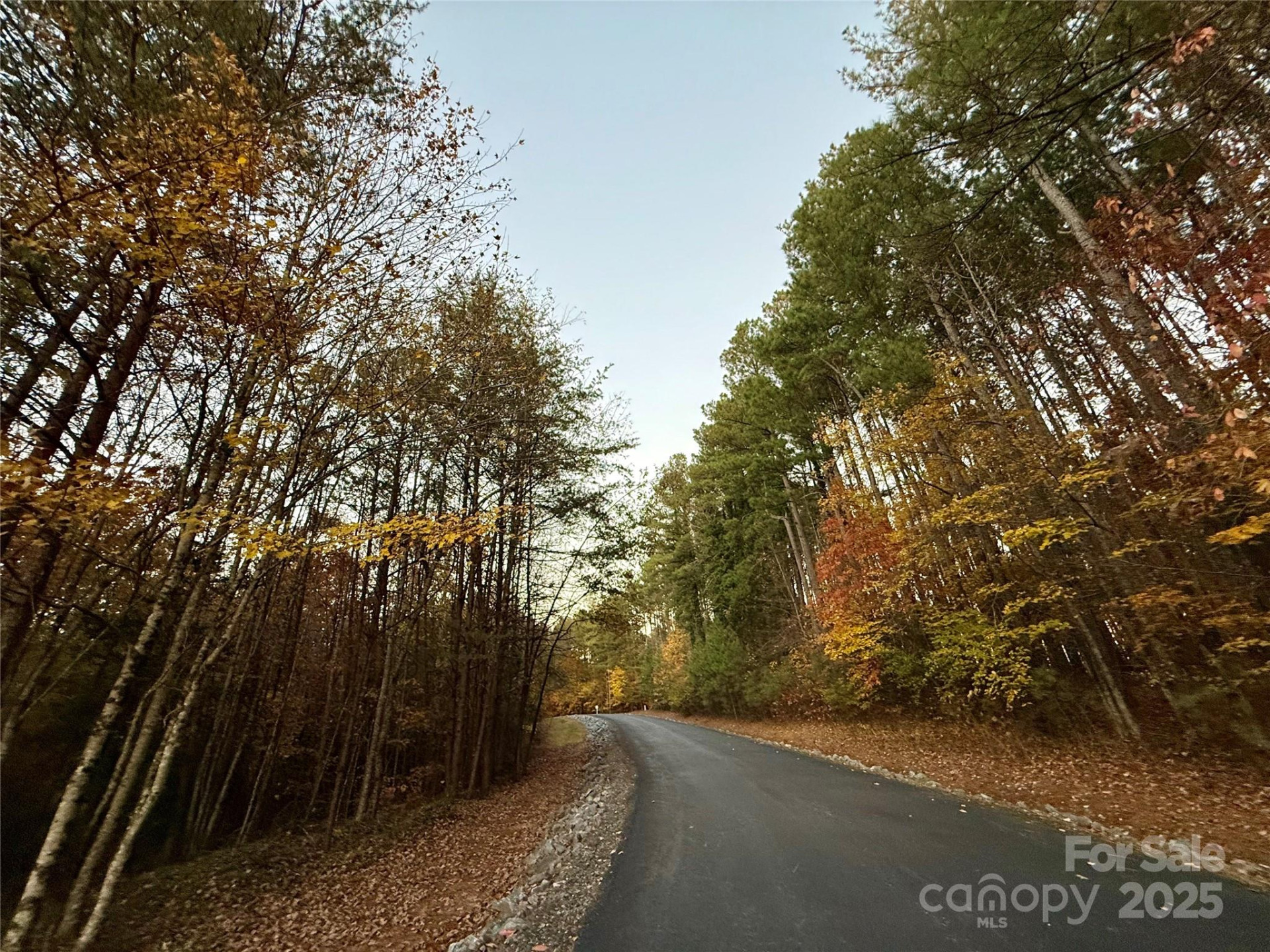 19 Meditation Ridge Extension - Photo 37