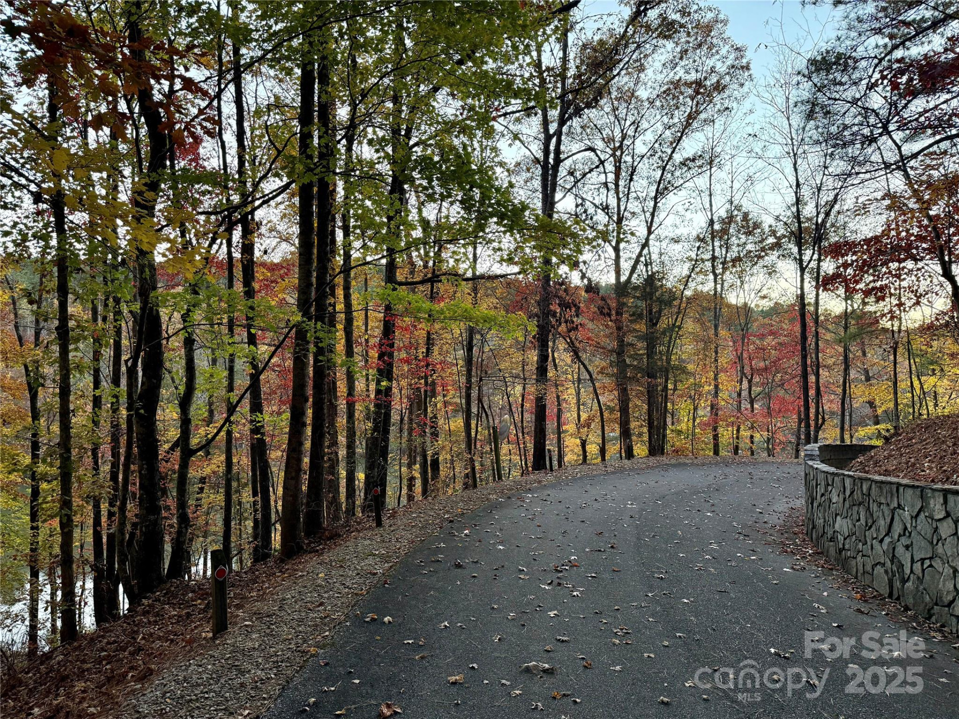19 Meditation Ridge Extension - Photo 38