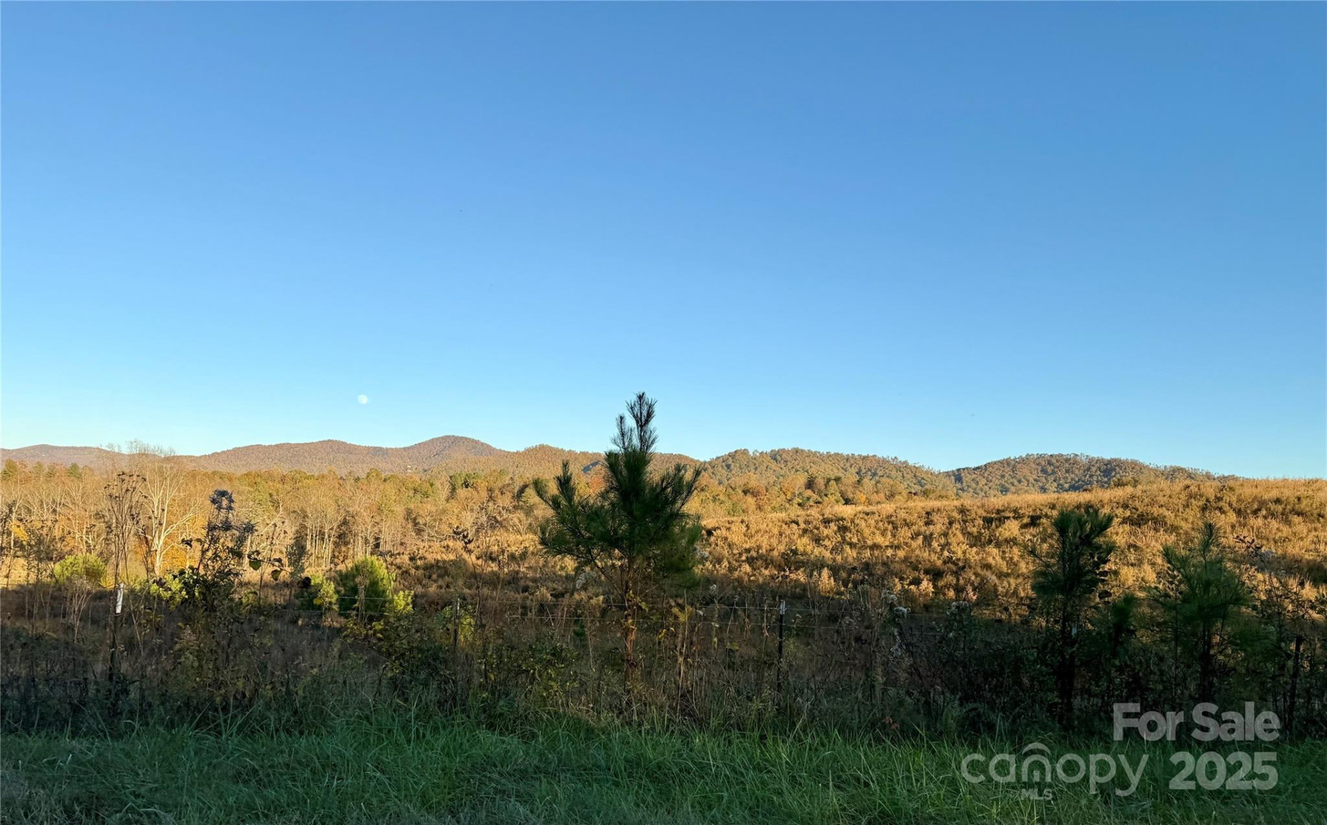 19 Meditation Ridge Extension - Photo 39