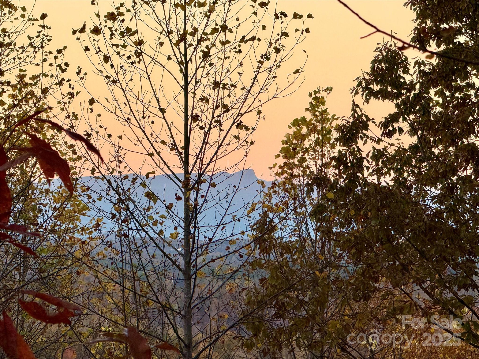 19 Meditation Ridge Extension - Photo 7