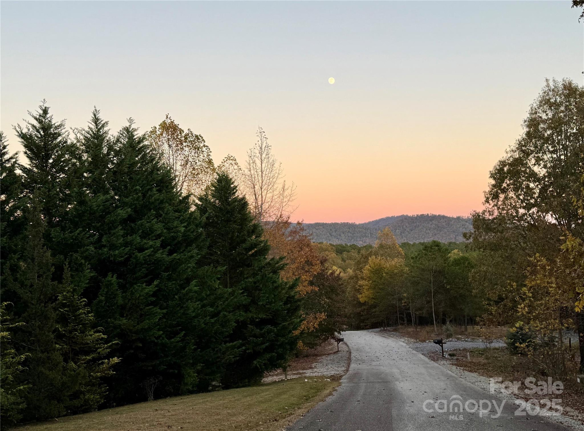 19 Meditation Ridge Extension - Photo 8