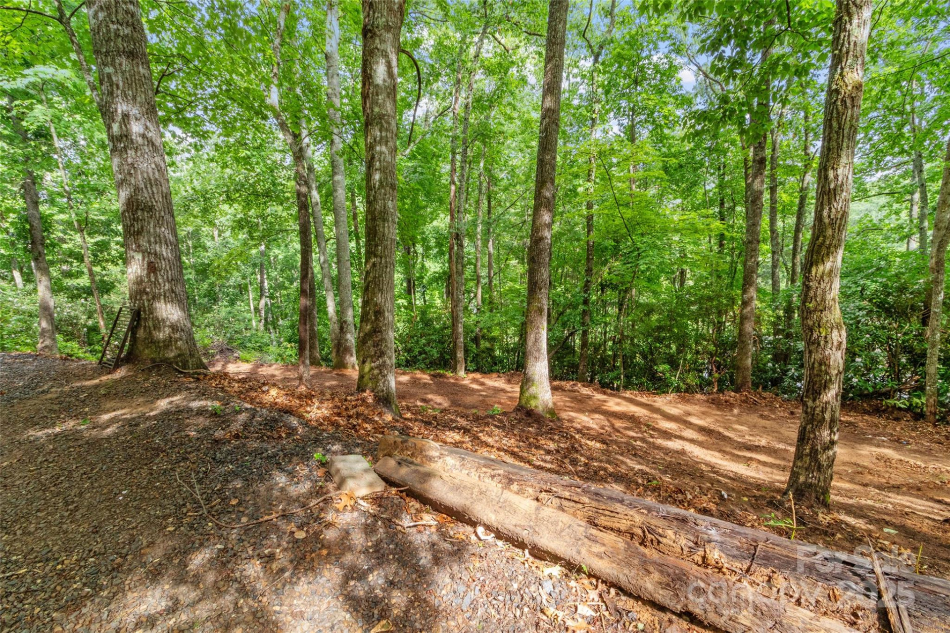 179 Heartland Lane - Photo 3