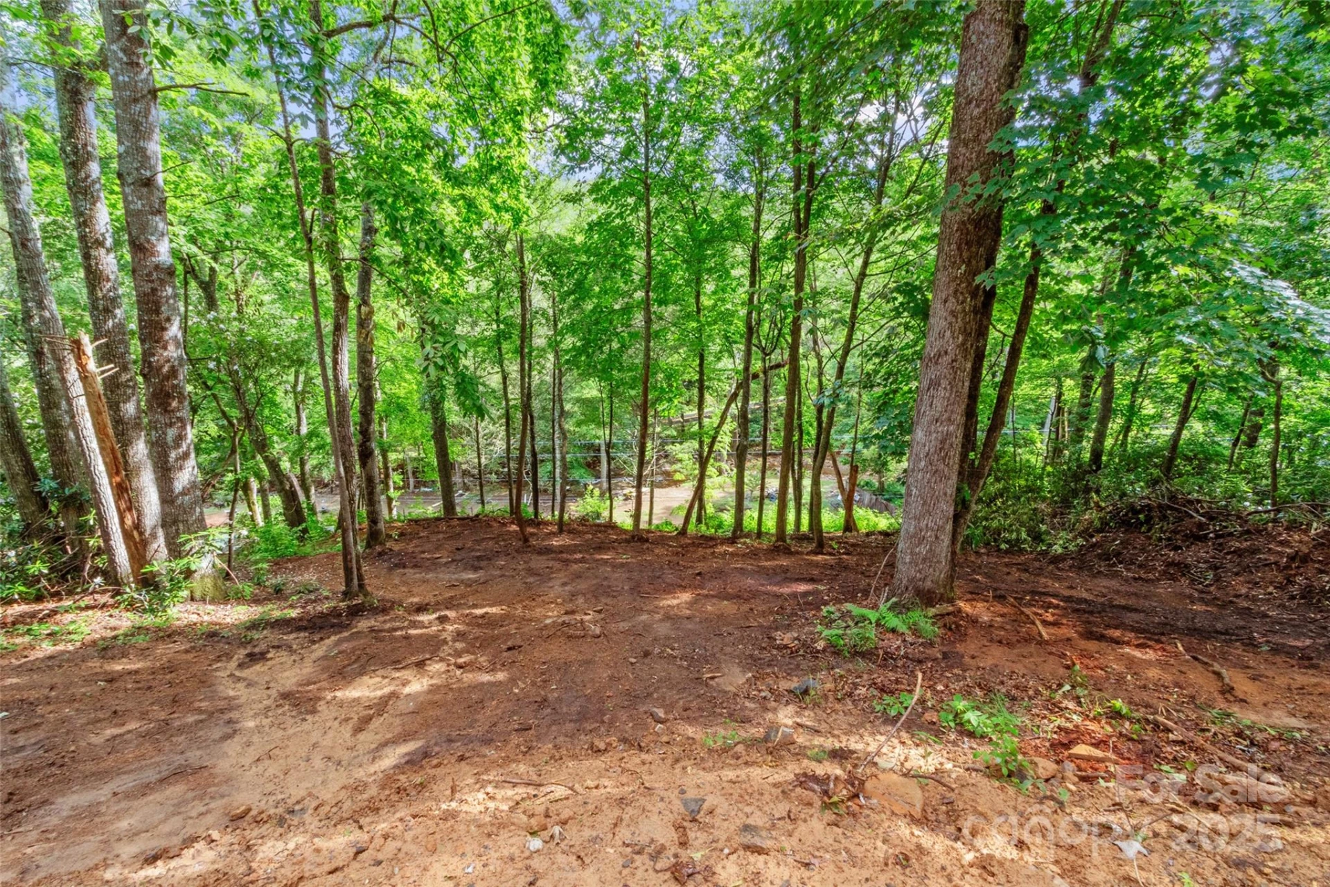 179 Heartland Lane - Photo 4