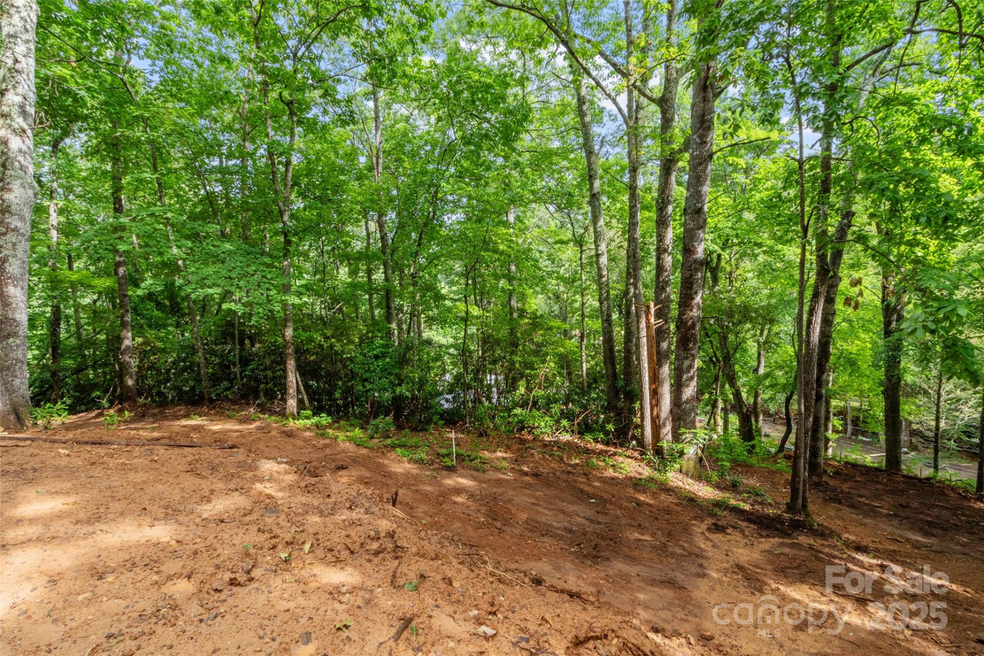 179 Heartland Lane - Photo 5