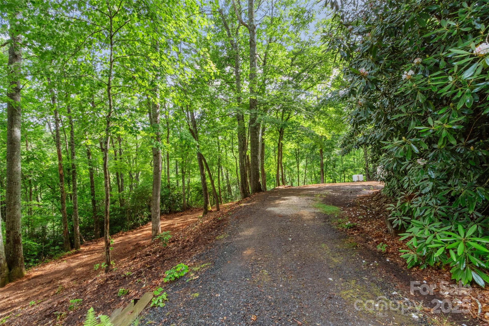 179 Heartland Lane - Photo 8