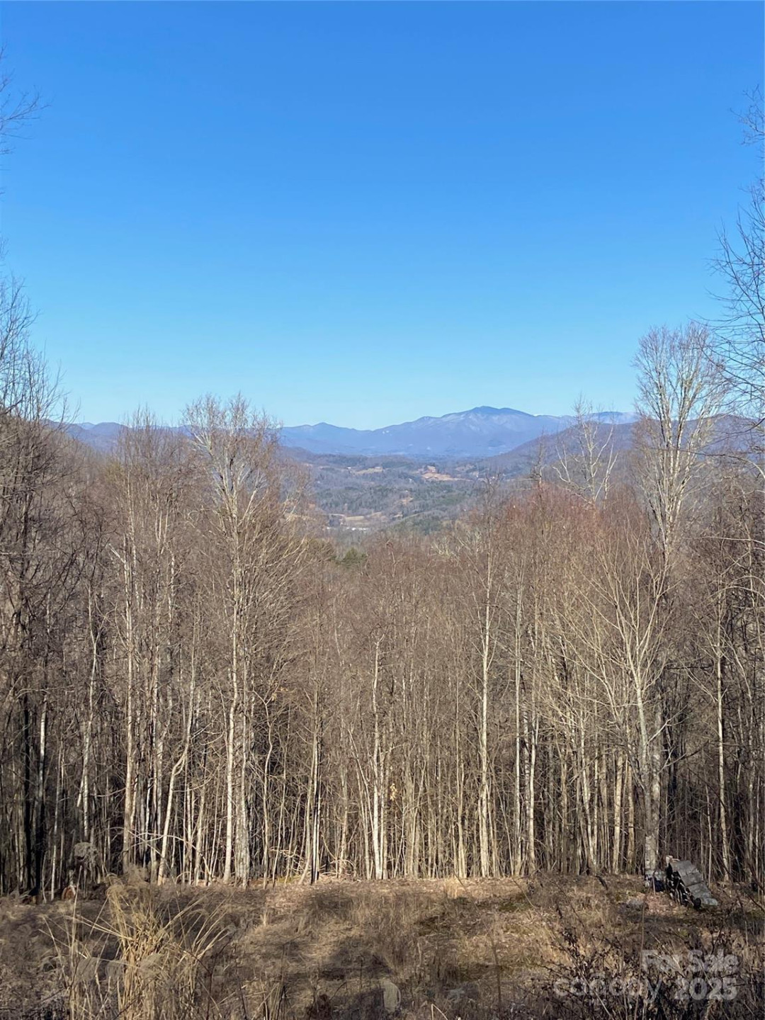 999 Red Wolf Run #48 - Photo 2