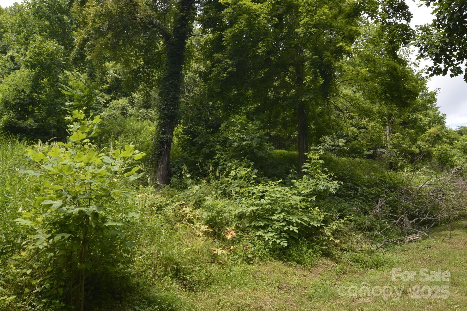 999 Red Wolf Run #48 - Photo 11