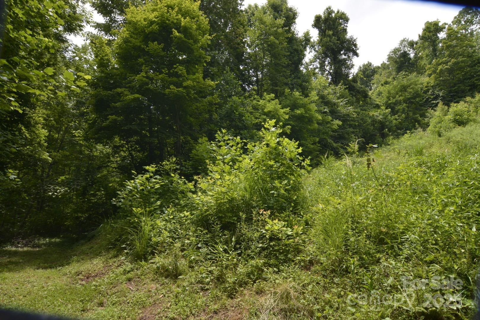 999 Red Wolf Run #48 - Photo 12