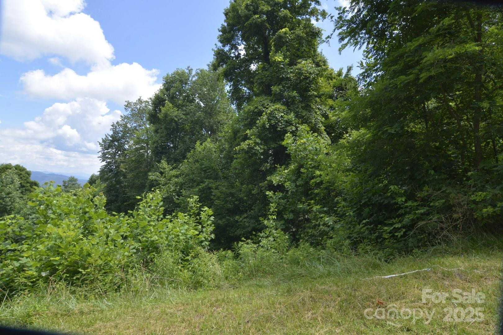 999 Red Wolf Run #48 - Photo 13