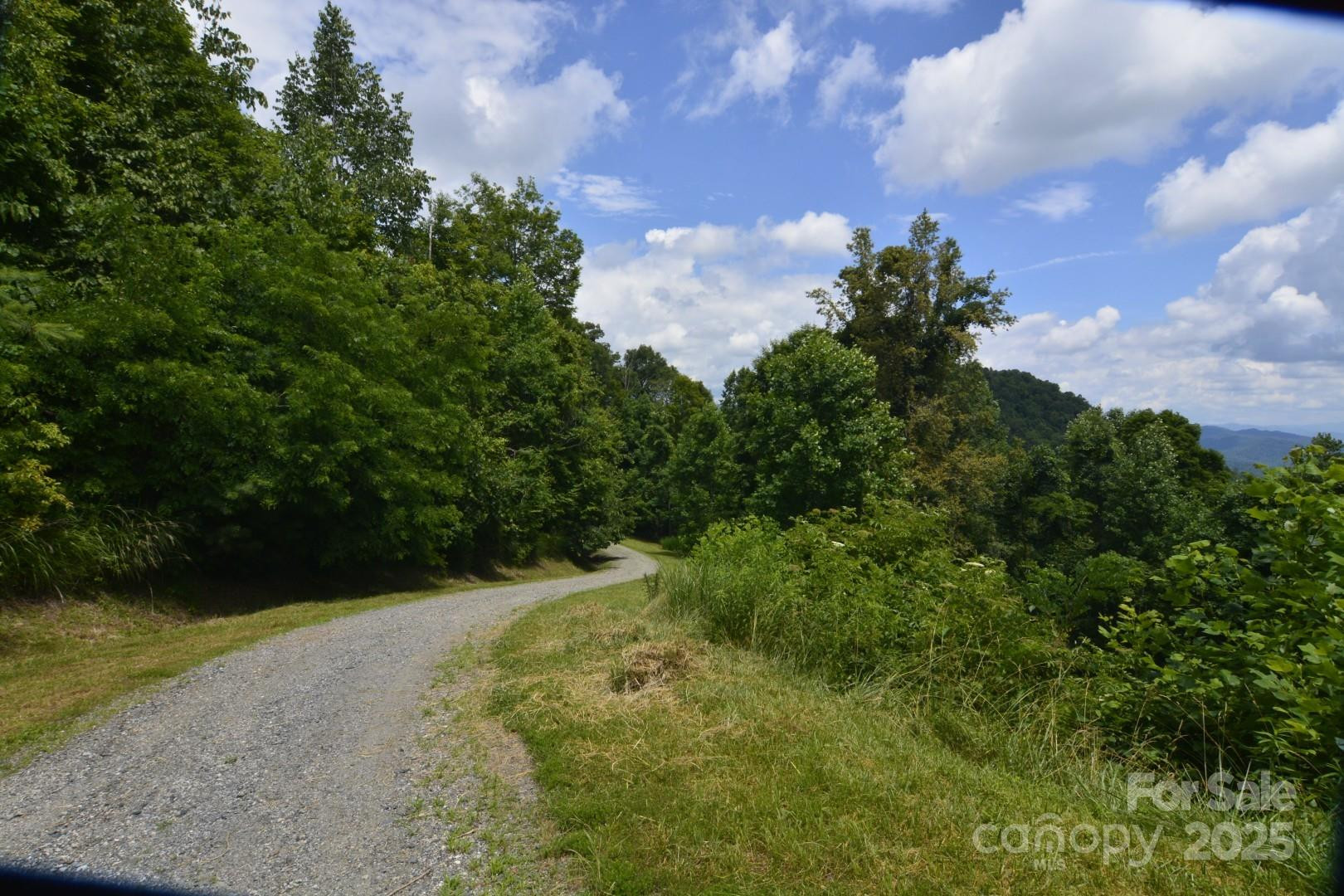 999 Red Wolf Run #48 - Photo 3