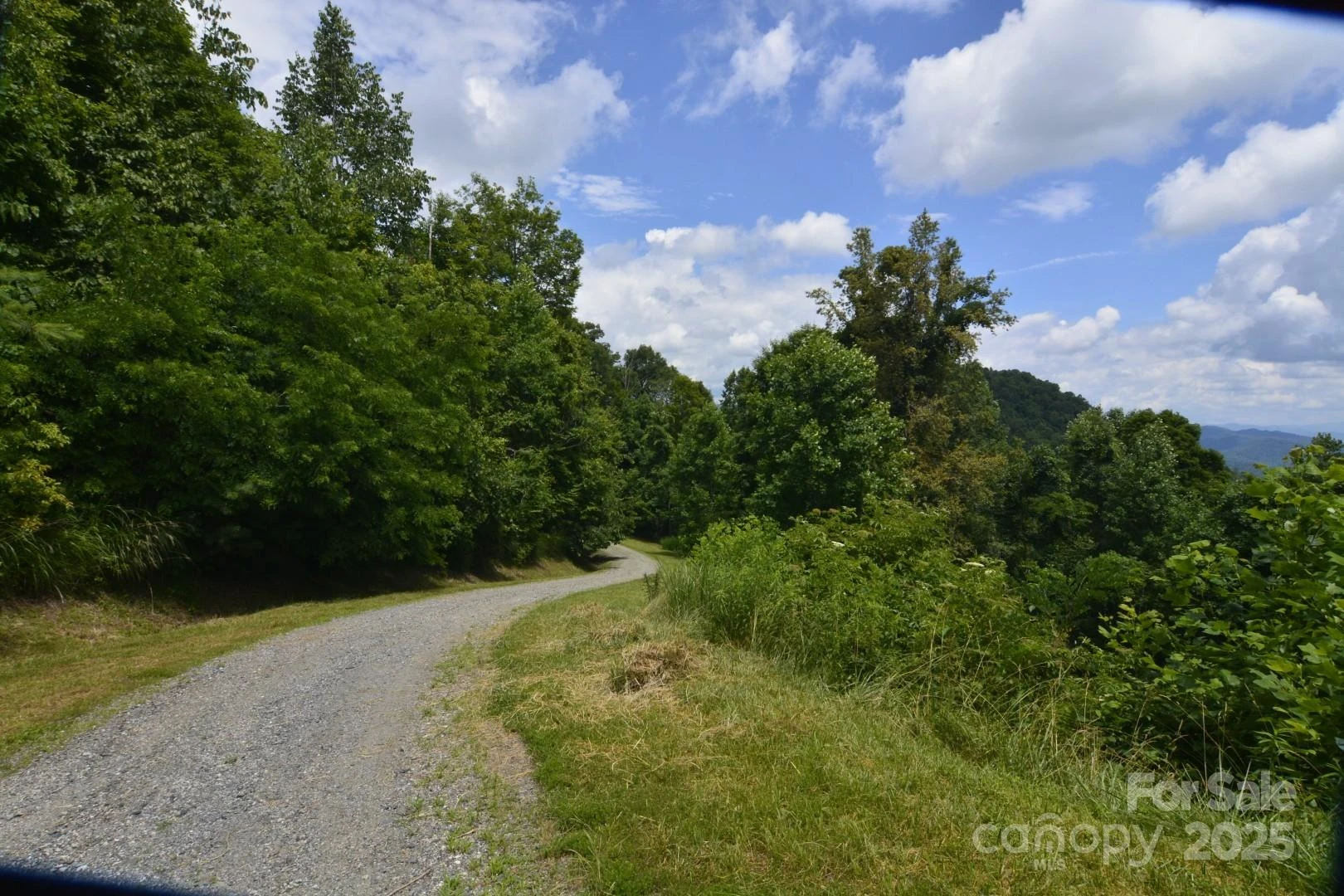 999 Red Wolf Run #48 - Photo 3