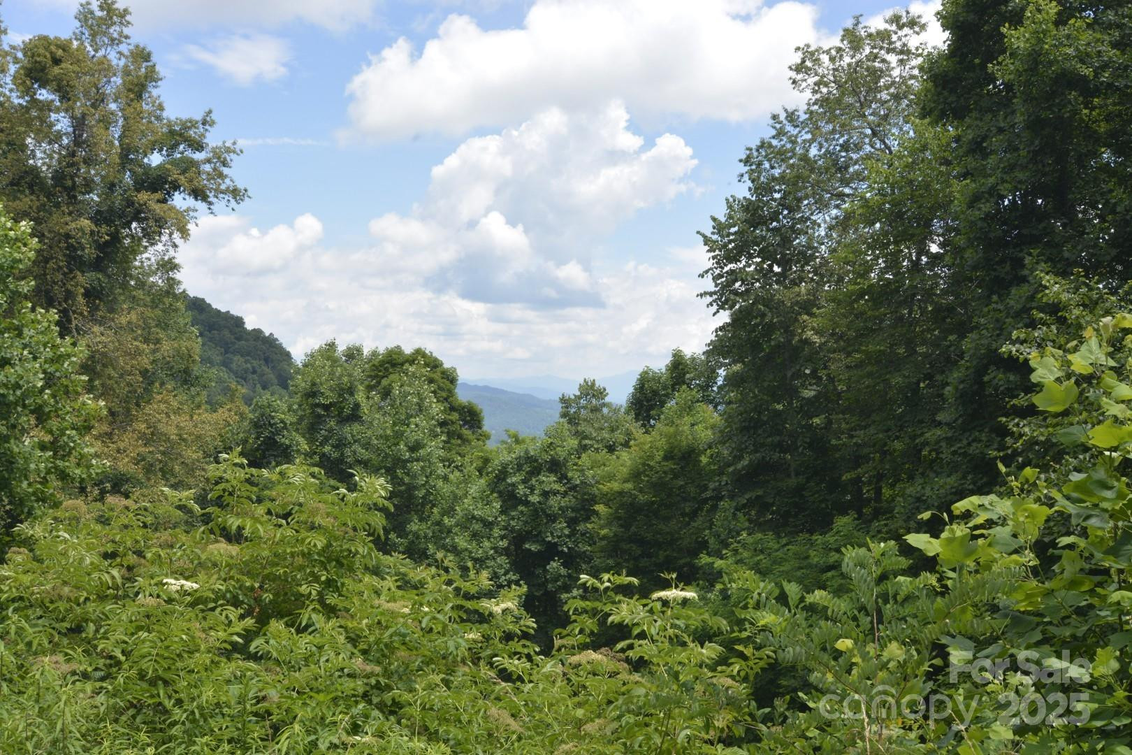 999 Red Wolf Run #48 - Photo 4