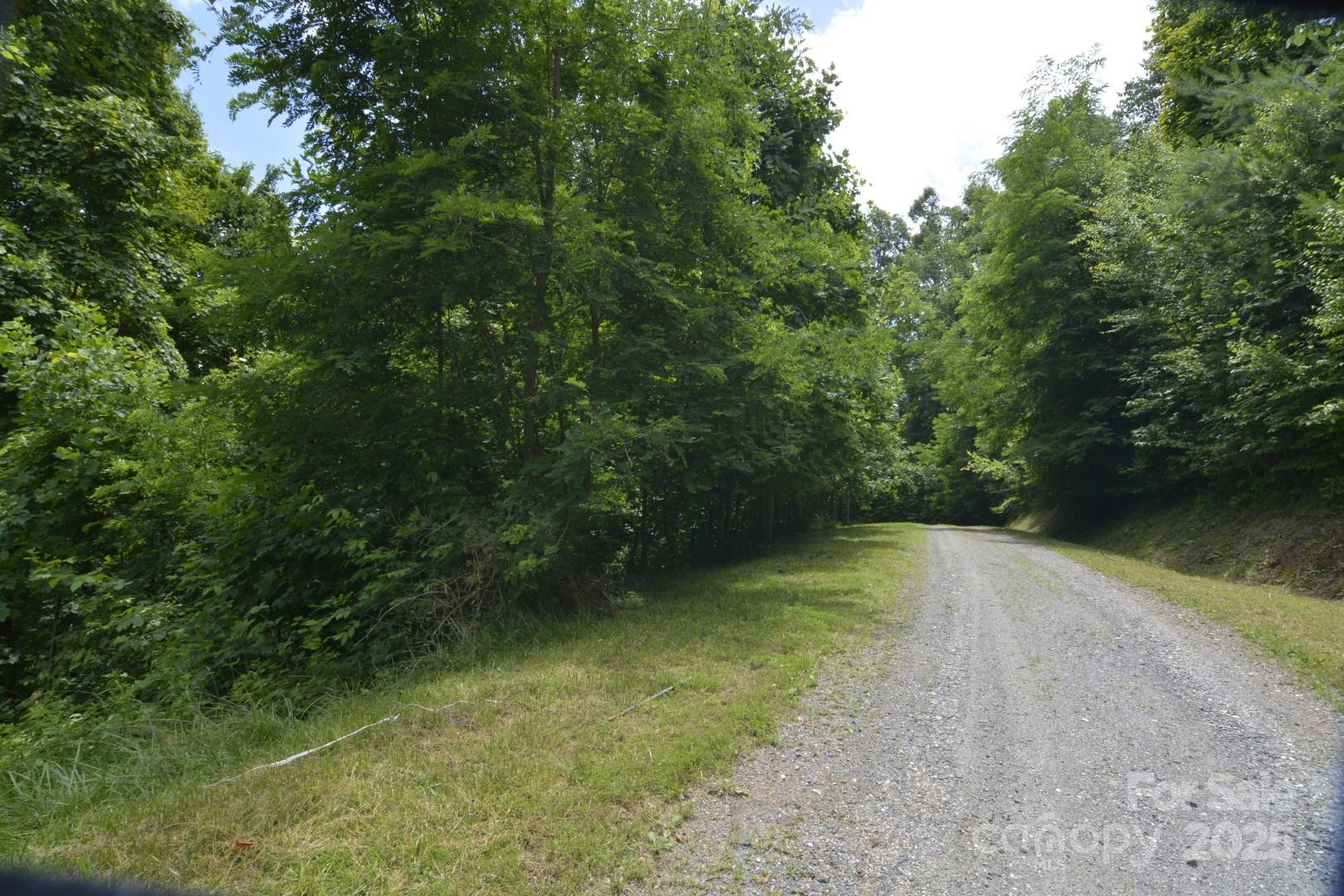 999 Red Wolf Run #48 - Photo 5