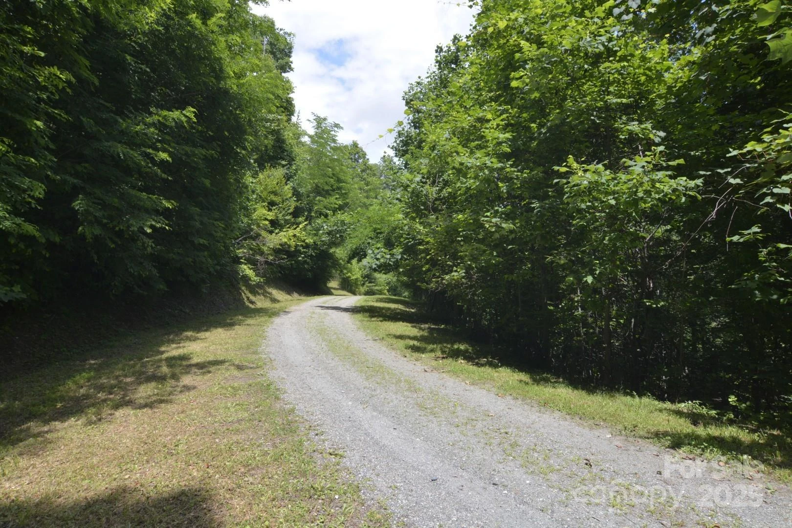 999 Red Wolf Run #48 - Photo 6