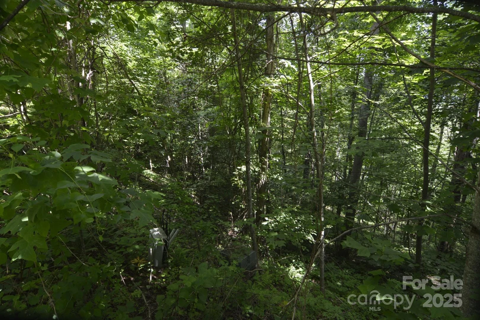 999 Red Wolf Run #48 - Photo 7