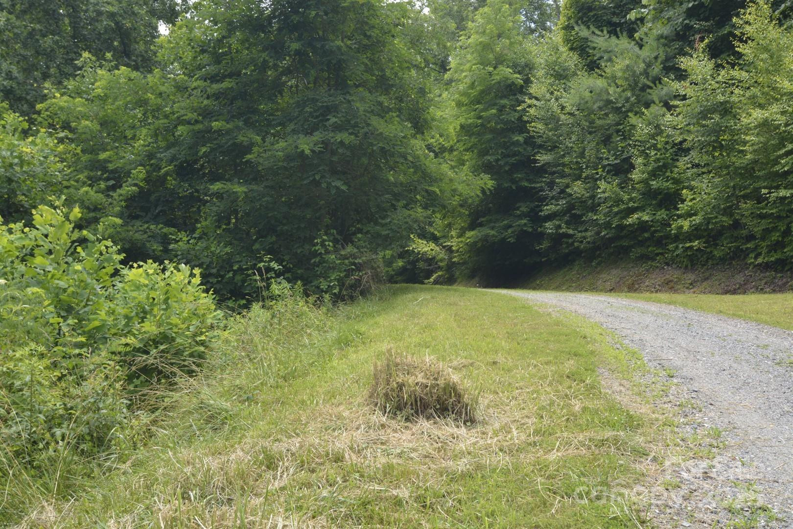 999 Red Wolf Run #48 - Photo 8