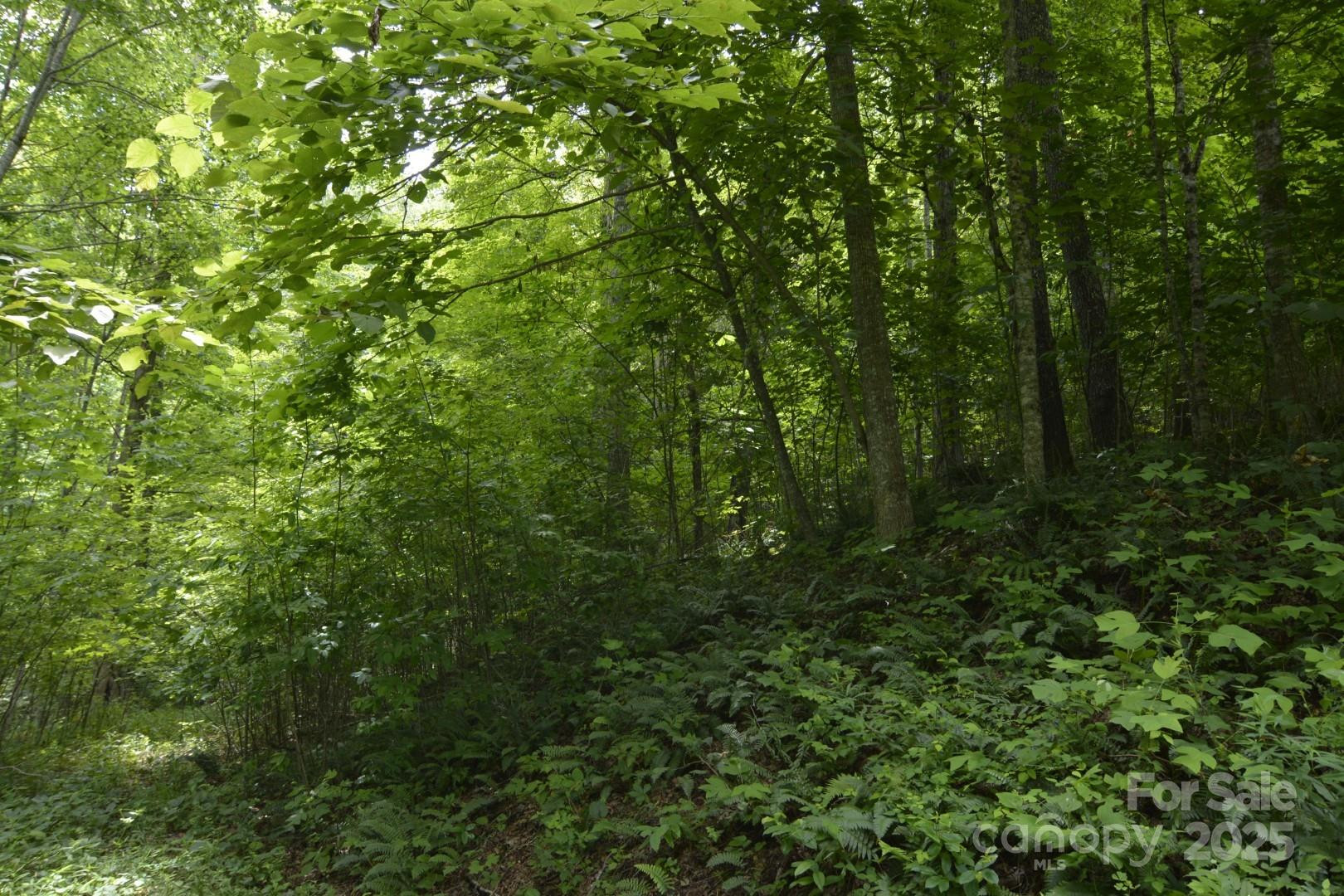 999 Red Wolf Run #48 - Photo 9