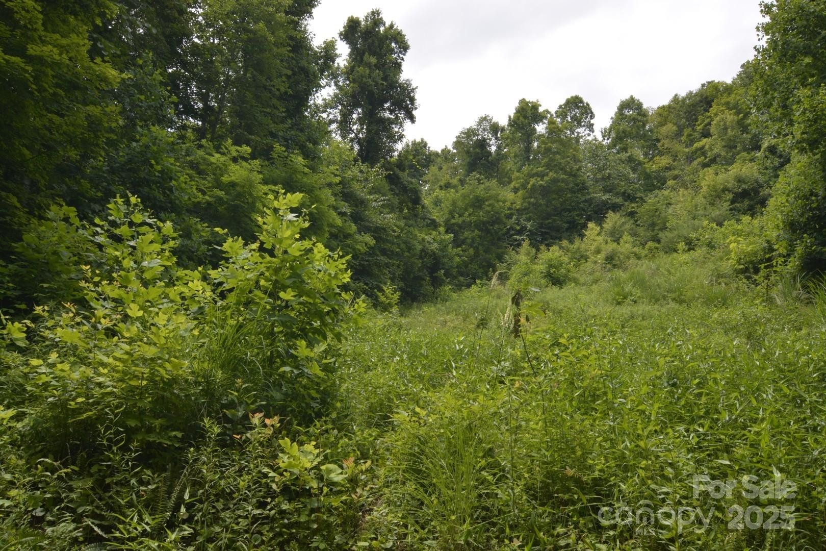 999 Red Wolf Run #48 - Photo 10