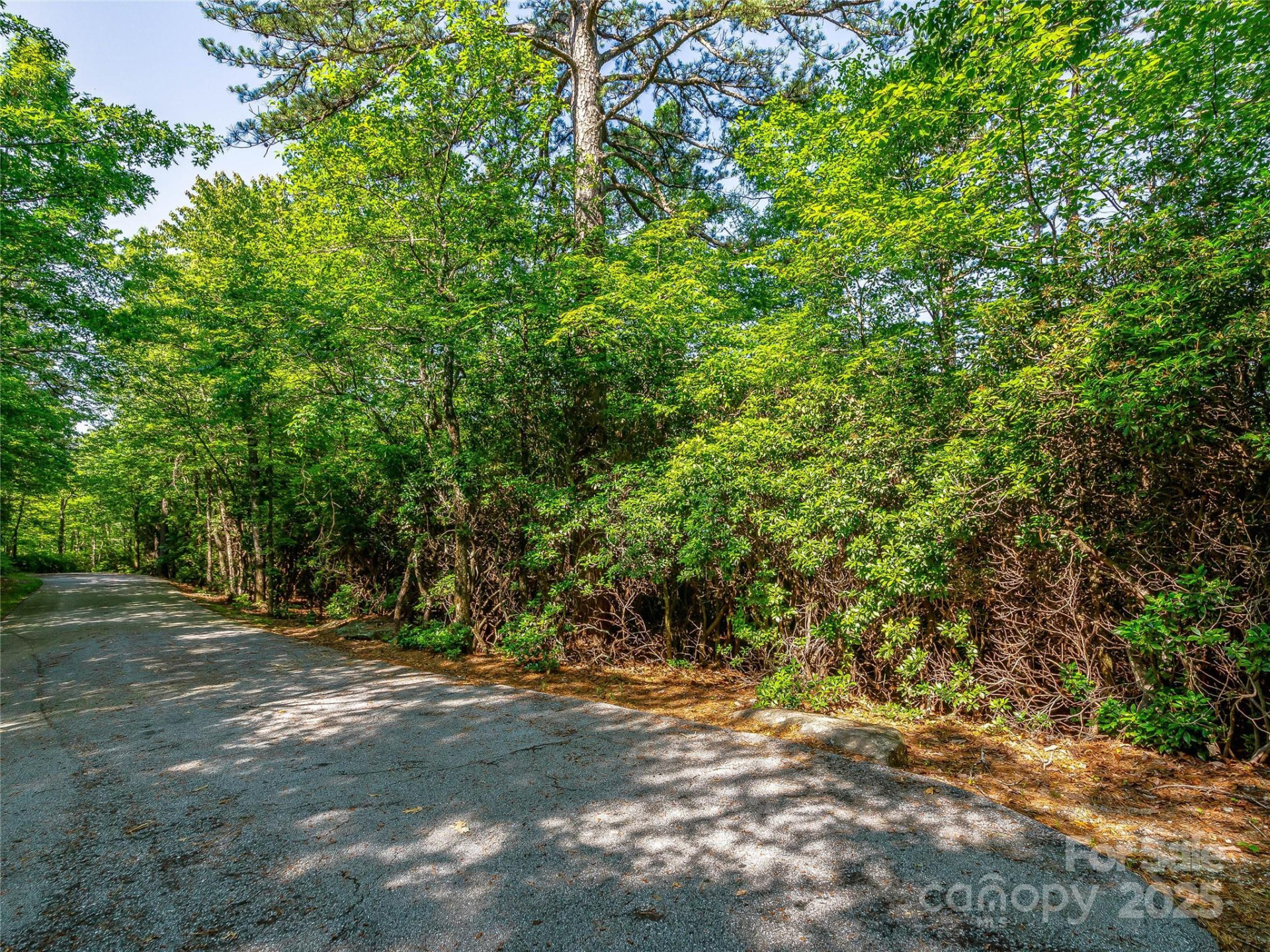 TBD Quartz Mine Road - Photo 13