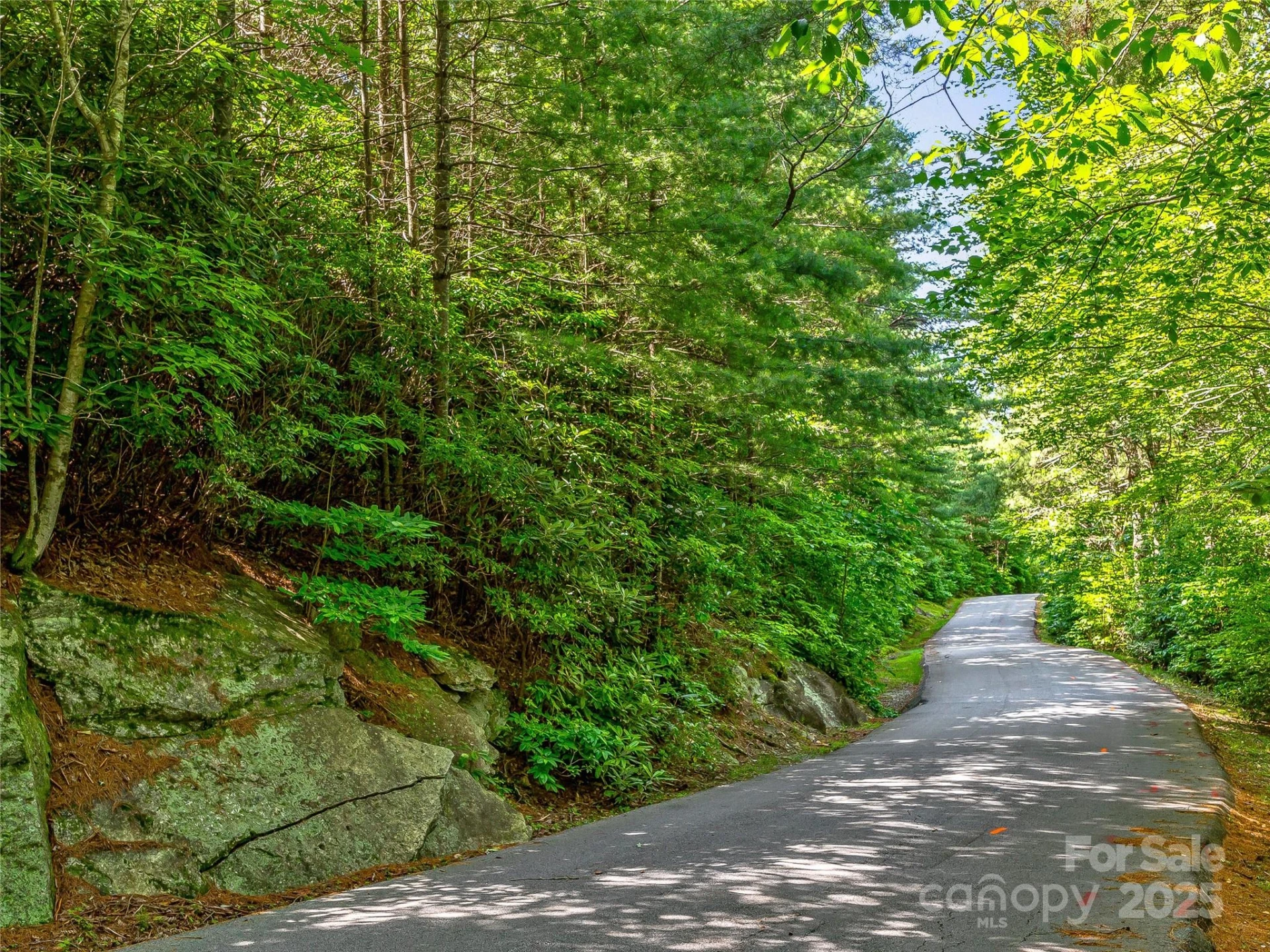 TBD Quartz Mine Road - Photo 19