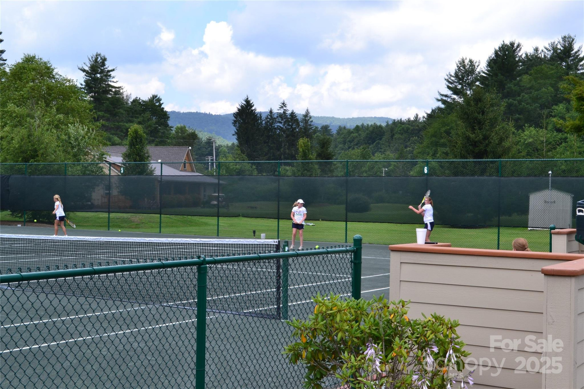 117 Speckled Feather Pass - Photo 19