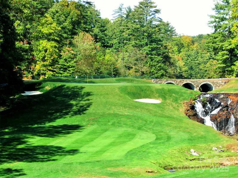 117 Speckled Feather Pass - Photo 20