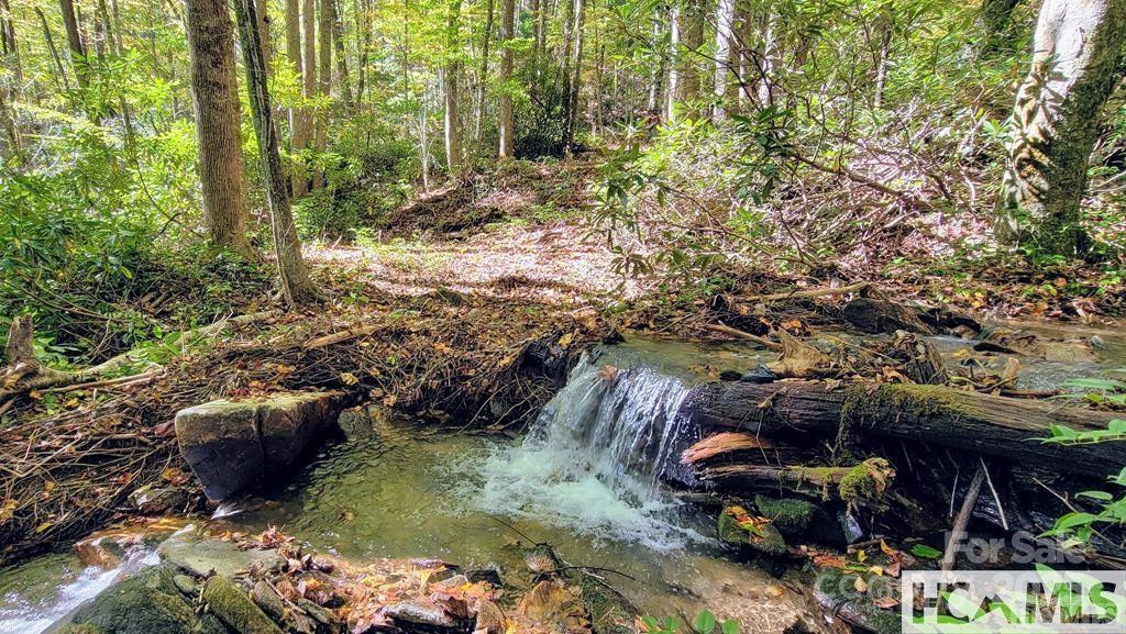 117 Speckled Feather Pass - Photo 3