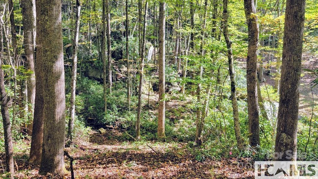 117 Speckled Feather Pass - Photo 5