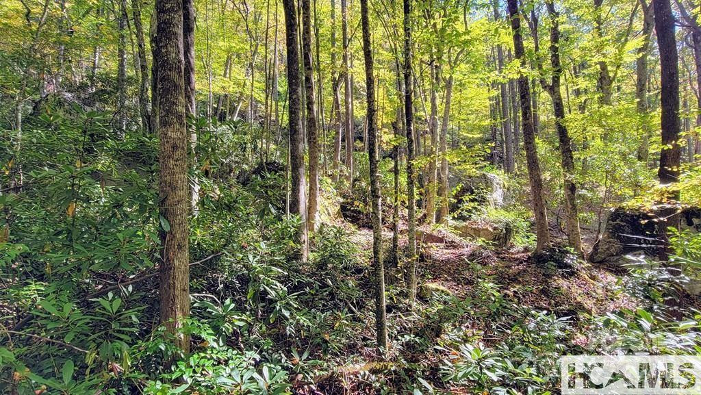 117 Speckled Feather Pass - Photo 6