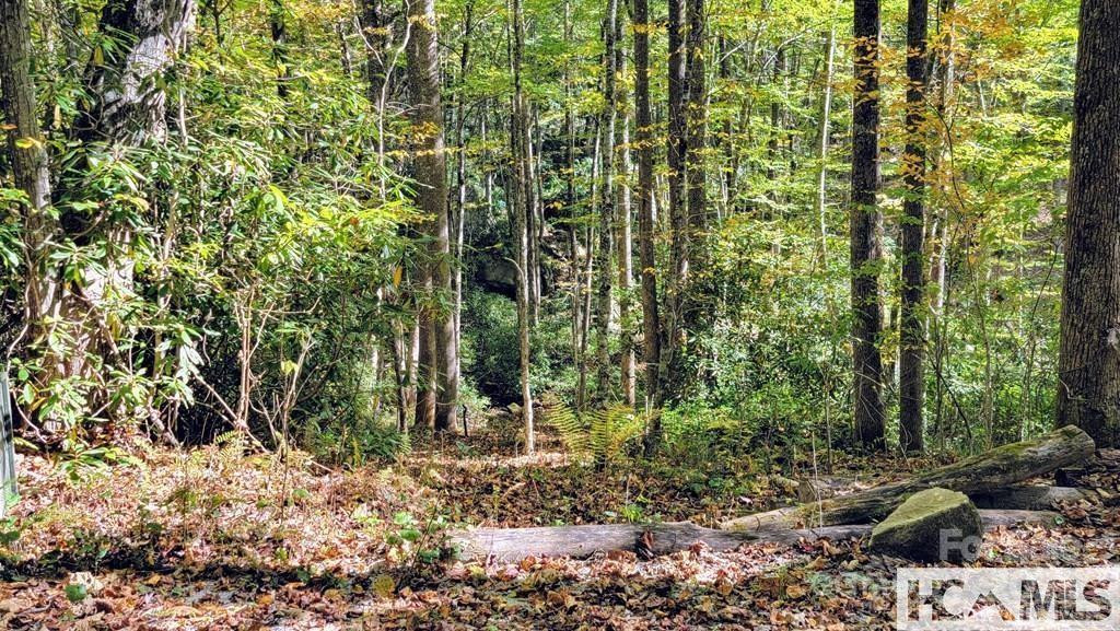 117 Speckled Feather Pass - Photo 7