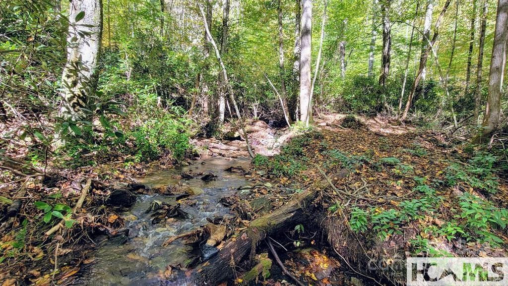 117 Speckled Feather Pass - Photo 8