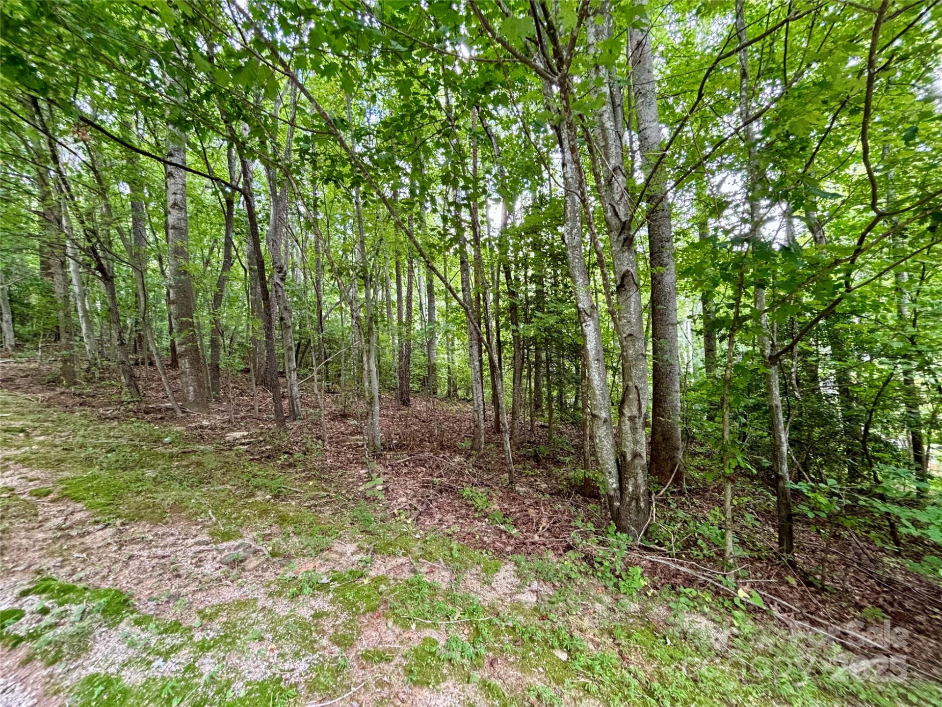 0 Sunlight Ridge Court - Photo 3