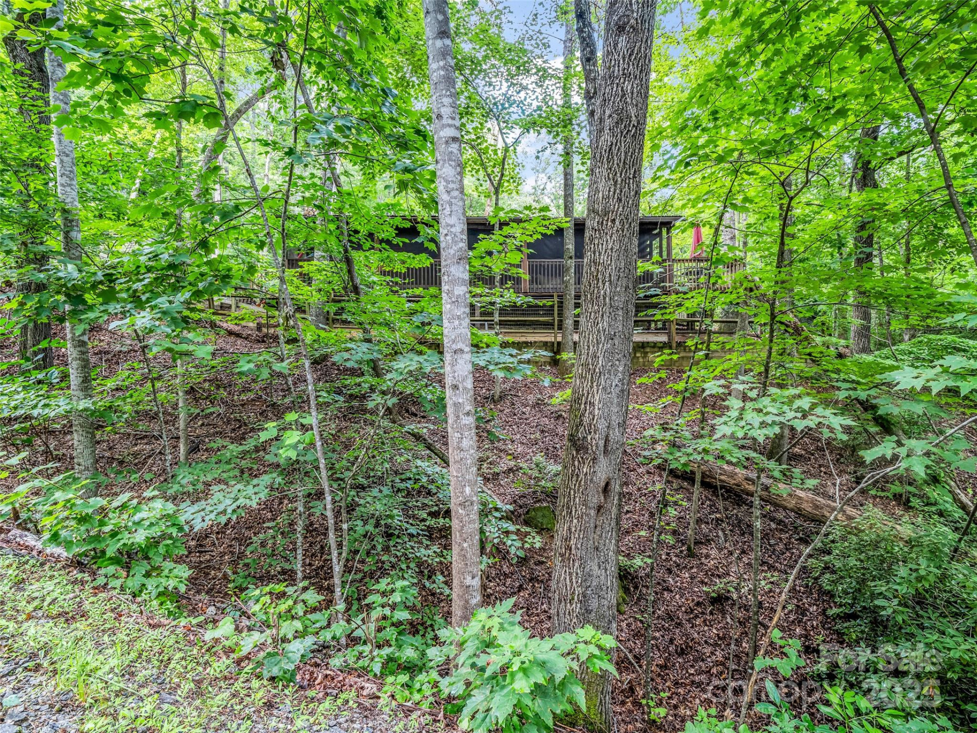 116 Chalet Road - Photo 28