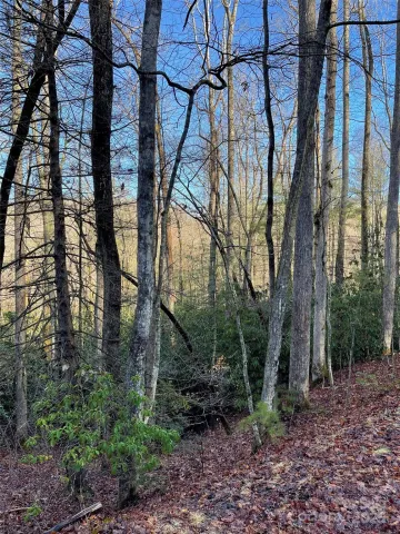 000 Old CCC Road
