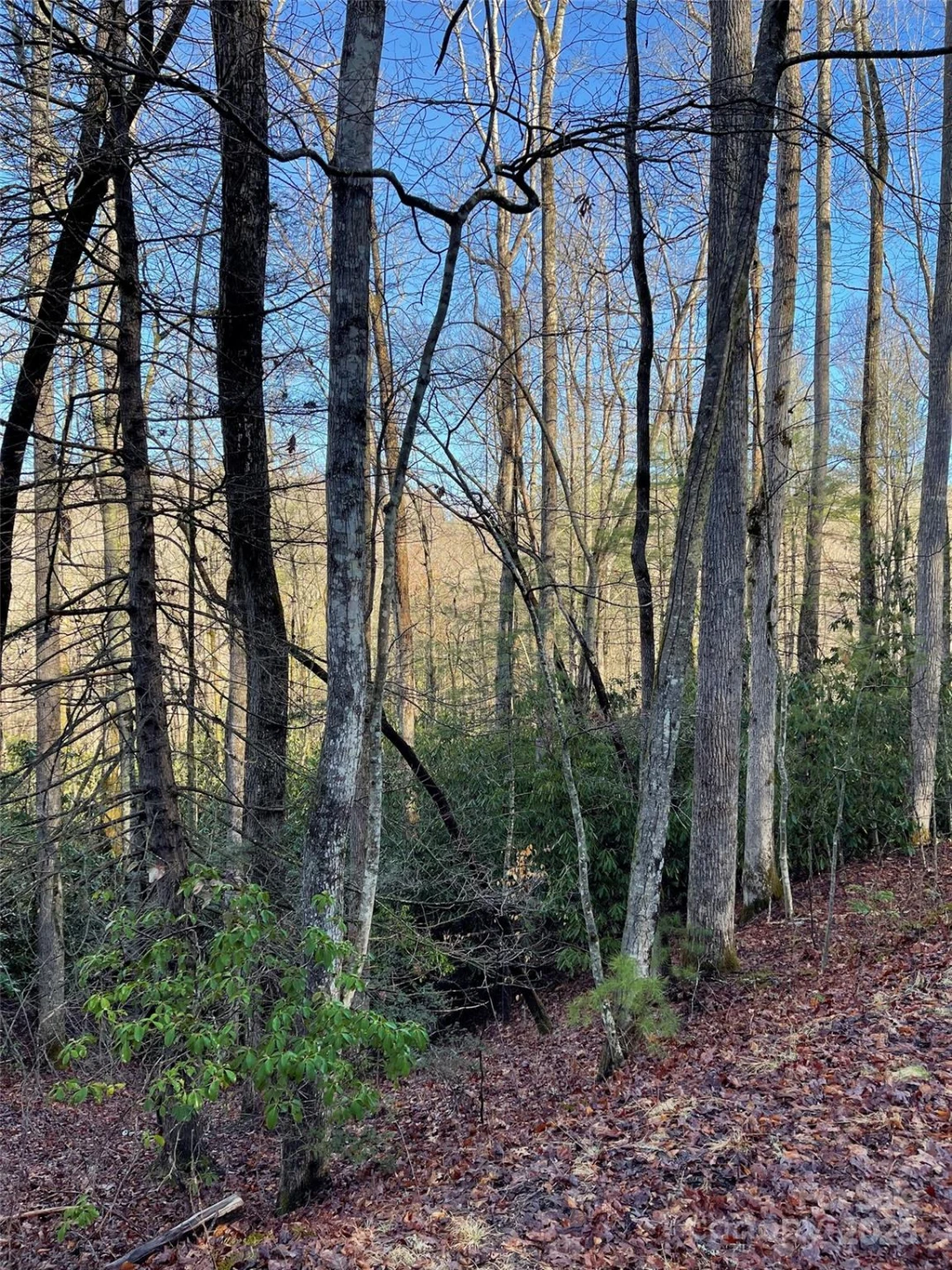 000 Old CCC Road