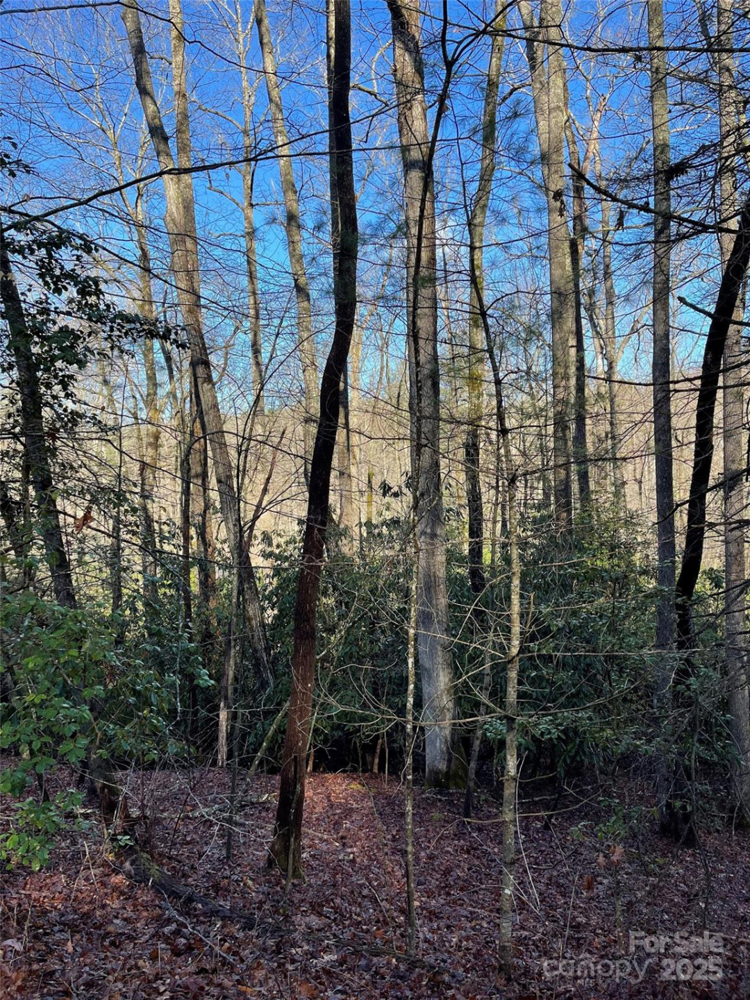 000 Old CCC Road - Photo 2