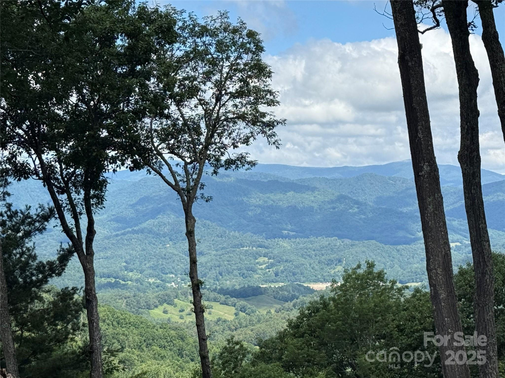 Lot 3 Heritage Ridge Loop #3/4 - Photo 2